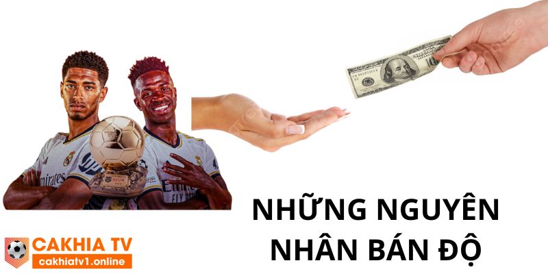 Những nguyên nhân dẫn đến hiện trạng bán độ trong thể thao