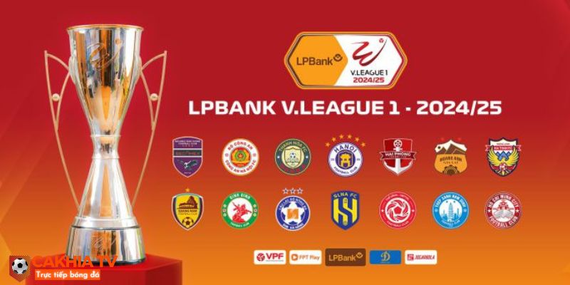 tổng quan về giải đấu V-League 2024/2025